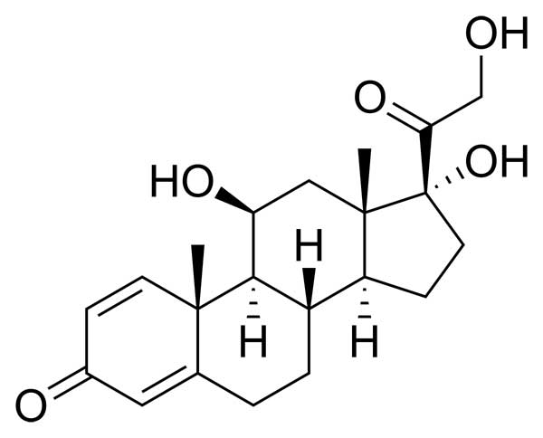 A Detailed Guide to Prednisone for Treating Inflammation and Autoimmune Conditions