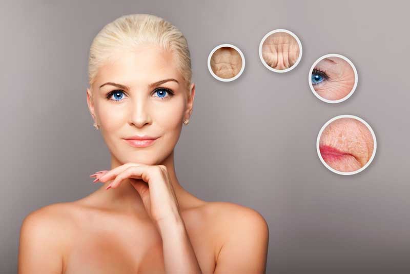 The Future of Aging Reversal with Dr David Sinclair’s Research