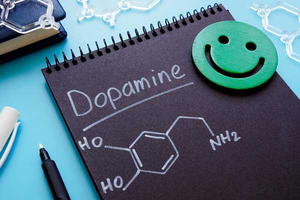 12 Science-Backed Ways to Naturally Increase Dopamine, the “Feel Good” Brain Chemical