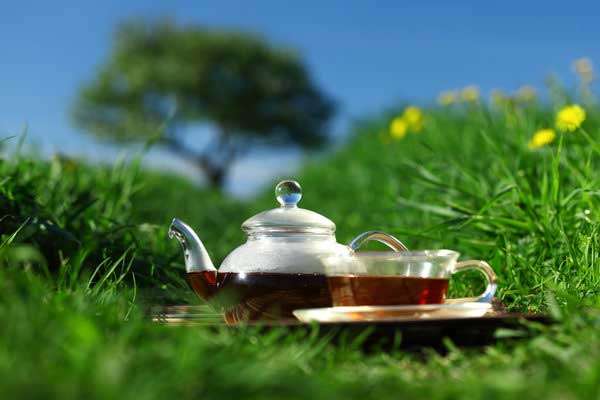 9 Dangerous Teas You Should Never Drink