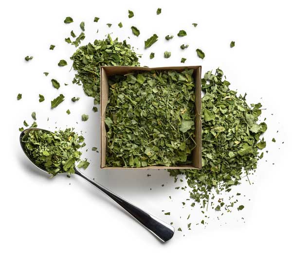 The Healing Power of Moringa Leaf Powder